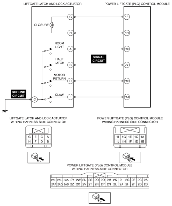 G13559702