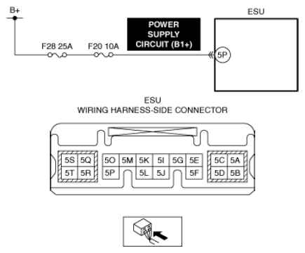 G13559743