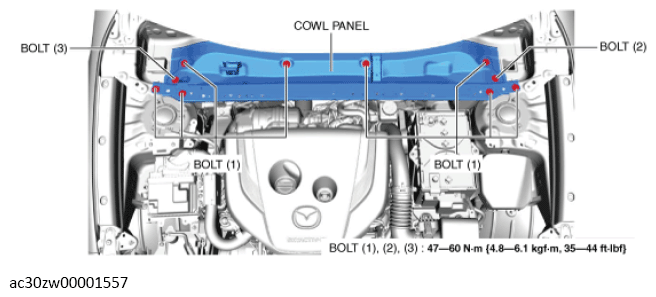 G13559817
