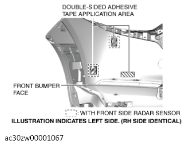 G13559831