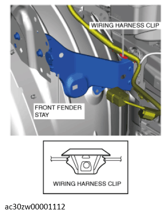 G13559861