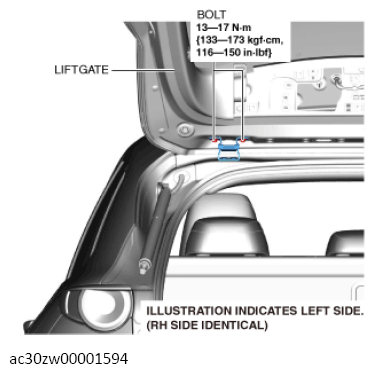 G13559952
