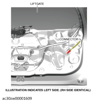 G13559986