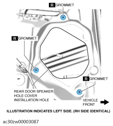 G13559991
