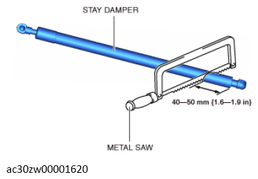 G13559998