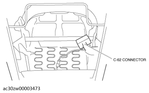 G13560216