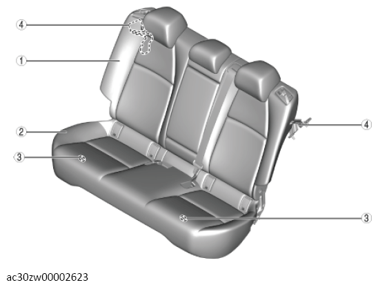 G13560256