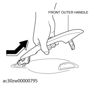 G13560310