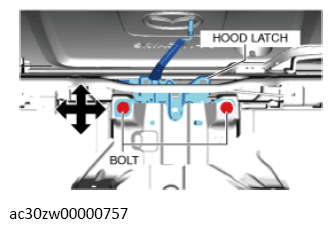 G13560359