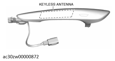 G13560387