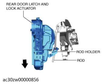 G13560425