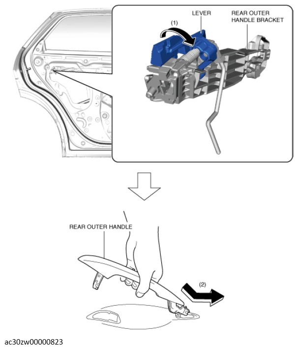 G13560442