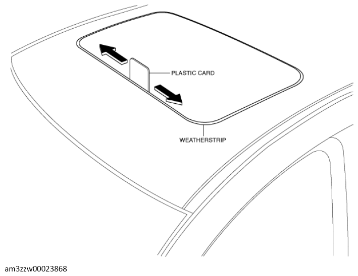 G13560478