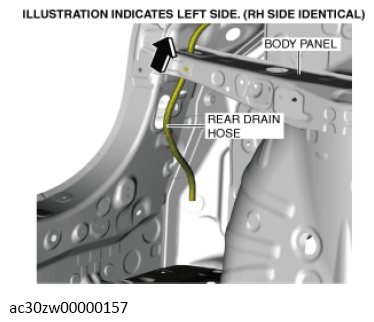G13560485