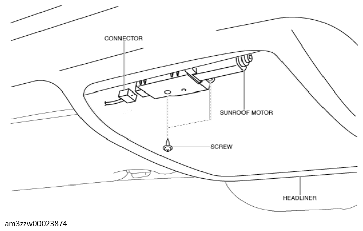 G13560489