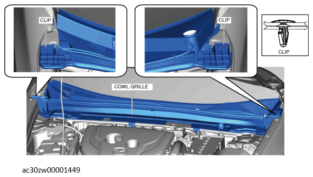 G13560498