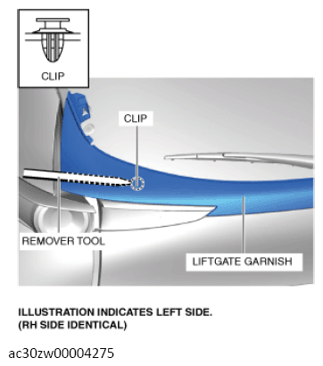G13560539