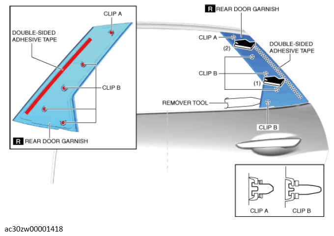 G13560556