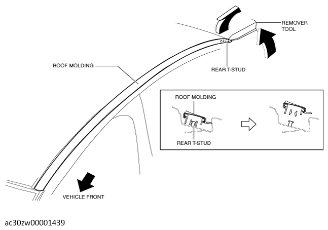 G13560586