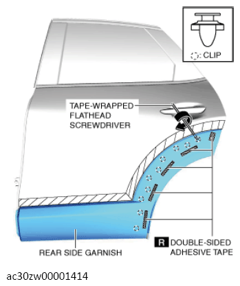 G13560594