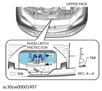 G13560608