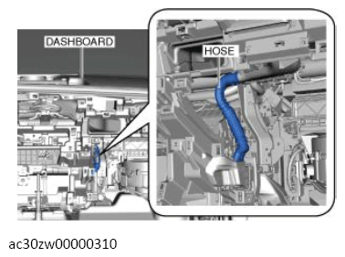 G13560669
