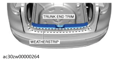G13560817