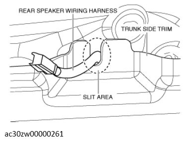 G13560824