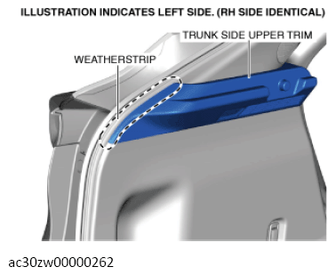 G13560825