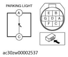 G13560856