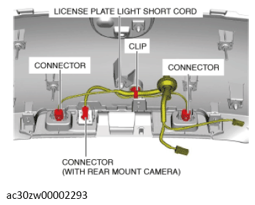 G13560878