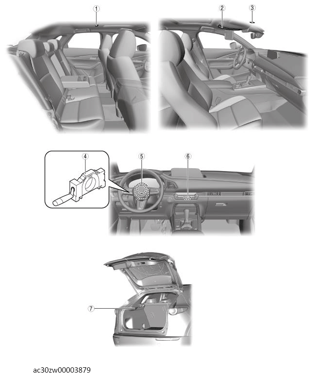 G13560892