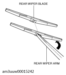 G13560955