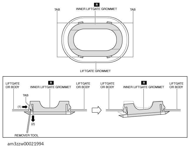 G13561026