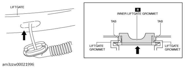 G13561031