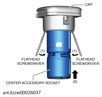 G13561119