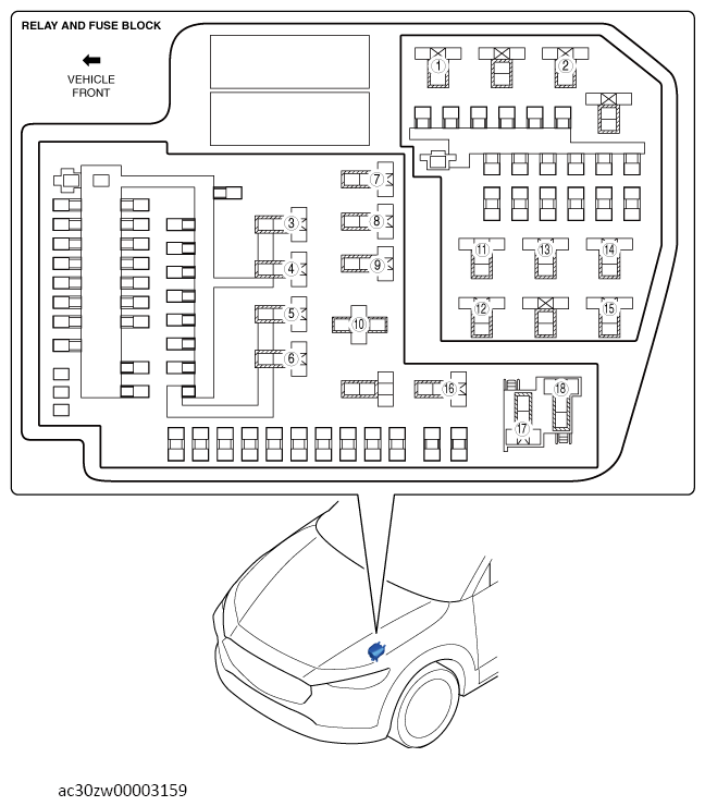 G13561174