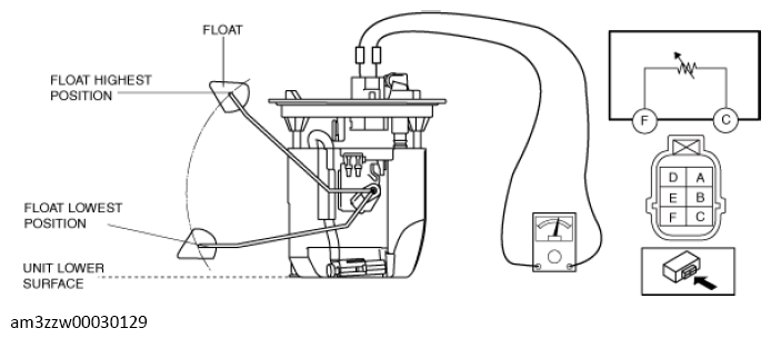 G13561195