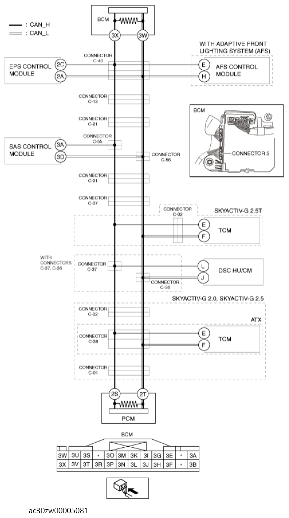 G13561318
