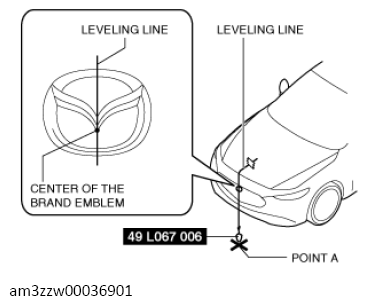 G13561393