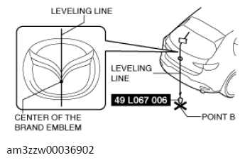 G13561394