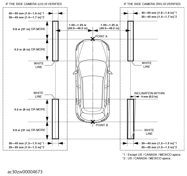 G13561398
