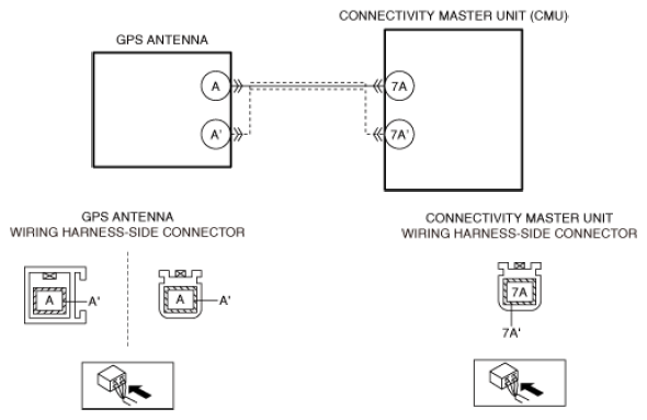 G13562161