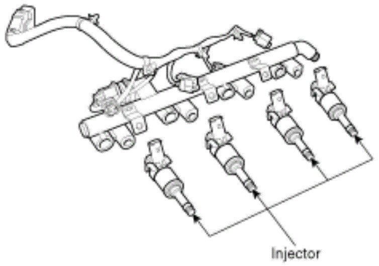 G13563039