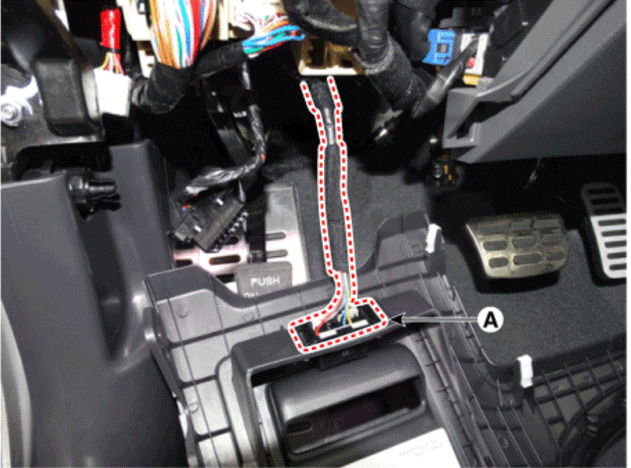 G13564345