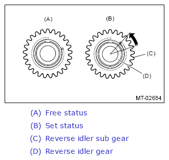 G13604754