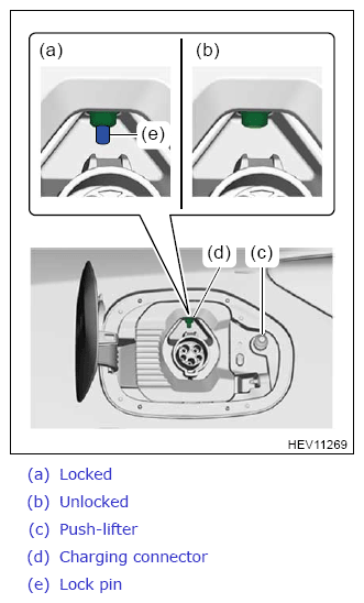 G13607555