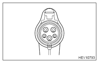 G13607565