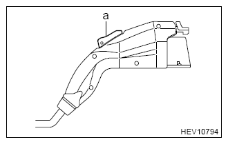 G13607566