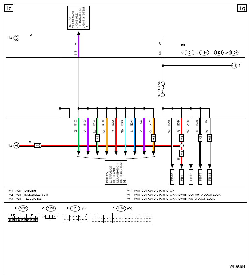 G13613919